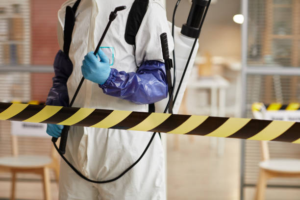 Professional Blood Cleanup technician working in Miami Beach, FL